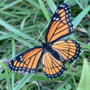 Meet your Posher, Sir